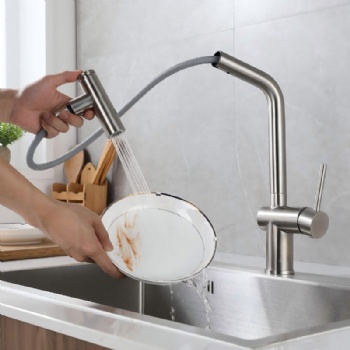 Pull Out Kitchen Faucet Single Lever Stainless Steel Tap for Sink
