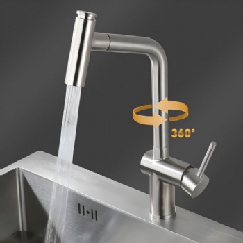 Pull Out Kitchen Faucet Single Lever Stainless Steel Tap for Sink