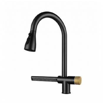 Kitchen Pull Down Stainless Steel Raindance Waterfall Faucet