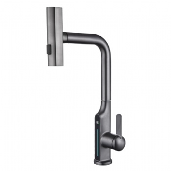 HYGESS Single Handle Raindance Pull Out Kitchen Faucet with Temperature Display
