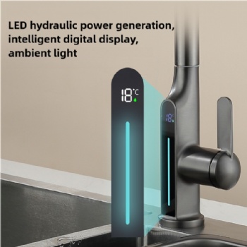 HYGESS Single Handle Raindance Pull Out Kitchen Faucet with Temperature Display