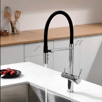 Brass Dual Handles 2-in-1 Water Filter Kitchen Sink Faucet