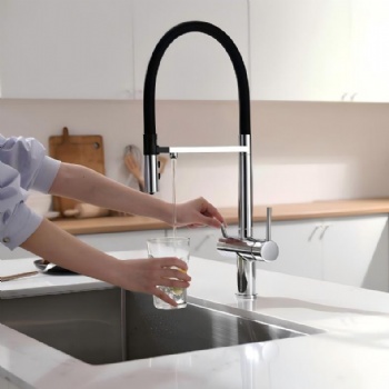 Brass Dual Handles 2-in-1 Water Filter Kitchen Sink Faucet