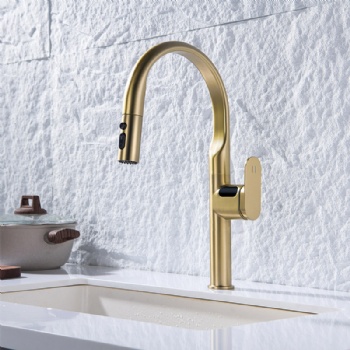Luxury Digital Temperature Display Brass Pull Down Sprayer Kitchen Faucet