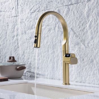 Luxury Digital Temperature Display Brass Pull Down Sprayer Kitchen Faucet