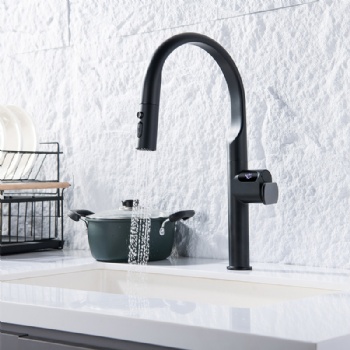 Luxury Digital Temperature Display Brass Pull Down Sprayer Kitchen Faucet